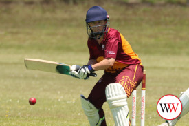 womens-cricket—-warrnambool-v-nestles-1.jpg