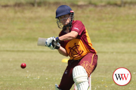 womens-cricket—-warrnambool-v-nestles-2.jpg