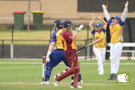 womens-cricket-nestles-v-cobden-1.jpg