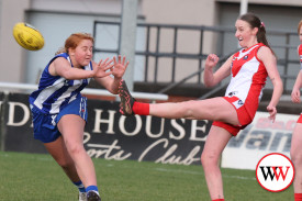 womens-footy—-south-warrnambool-v-hamilton-8.jpg