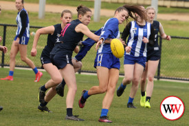 womens-footy—-warrnambool-v-hamilton-1.jpg