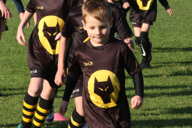 wovles-soccer-1.jpg