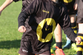 wovles-soccer-2.jpg